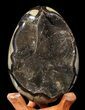 Septarian Dragon Egg Geode - Black Crystals #40904-1